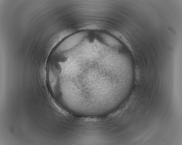 X0000112020890200909141033