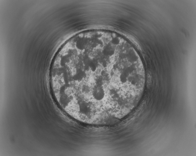 X0000112020895200909141033