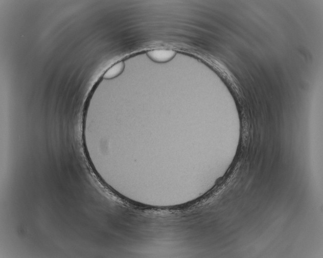 X0000112020896200909141033