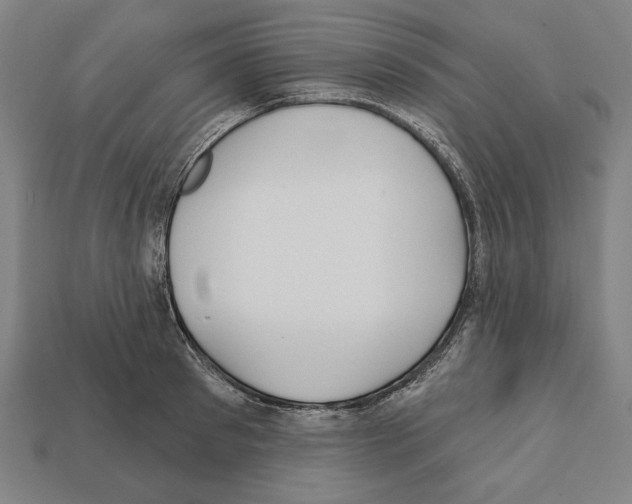 X0000112020897200909141033