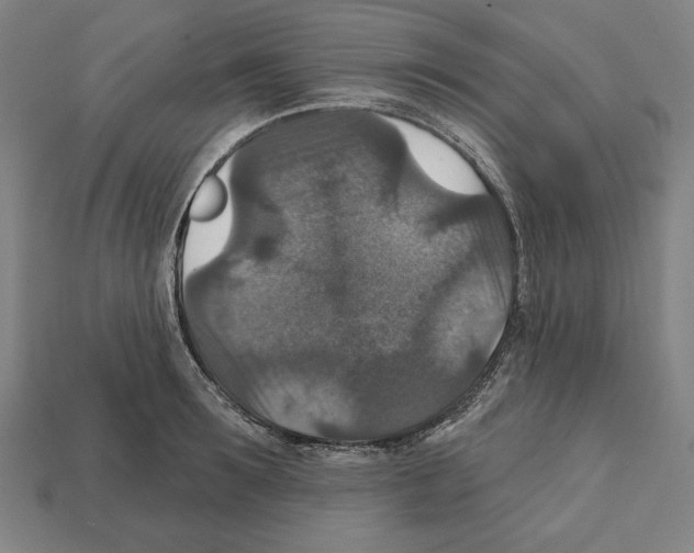 X0000112020899200909141033