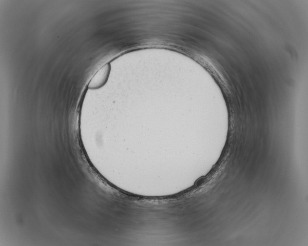 X0000112020900200909141033