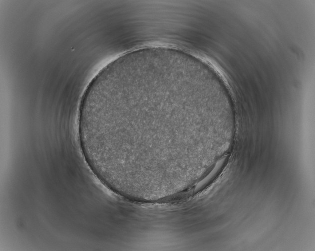 X0000112020902200909141033