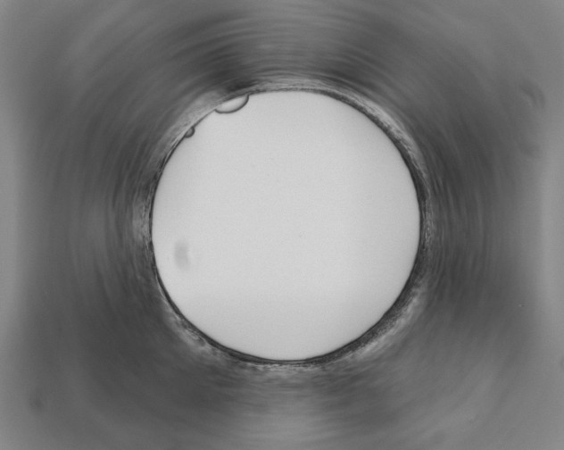 X0000112020905200909141033