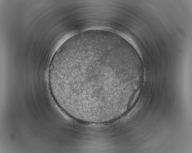 X0000112020906200909141033