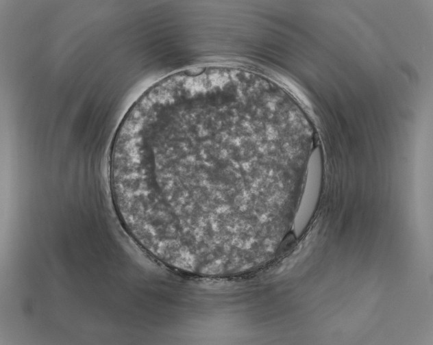 X0000112020907200909141033