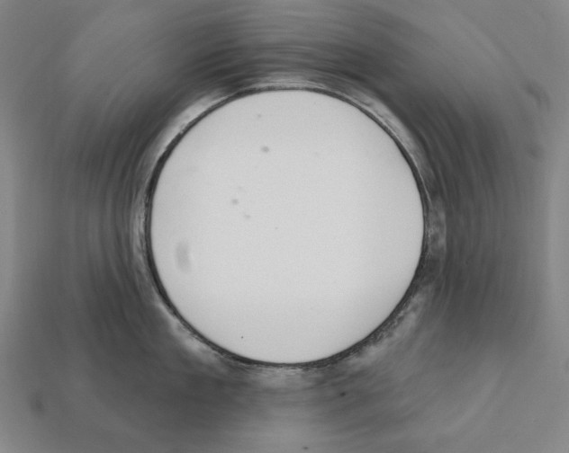 X0000112020909200909141033