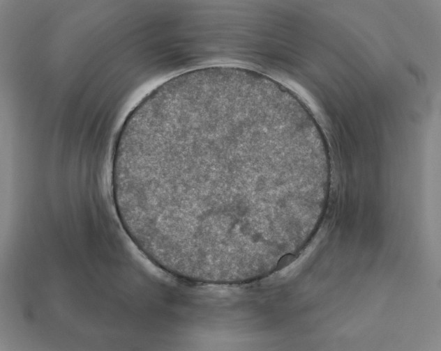 X0000112020910200909141033