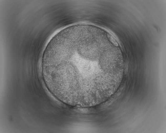 X0000112020911200909141033