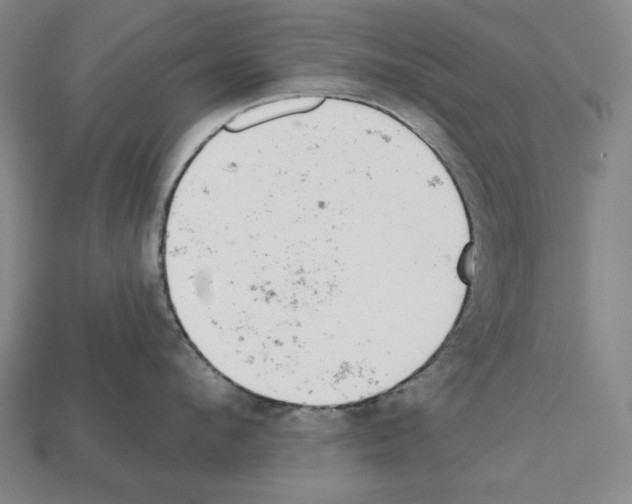 X0000112020912200909141033