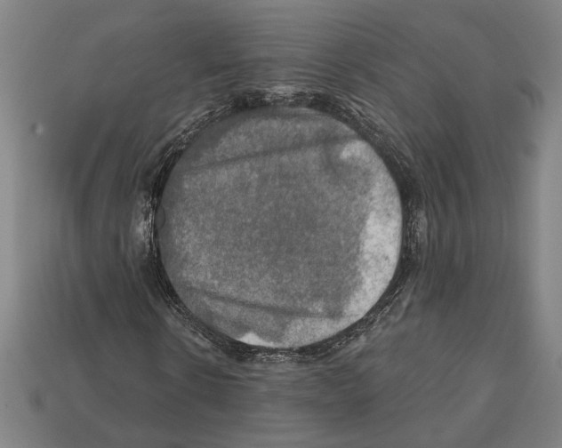 X0000112020914200909141033