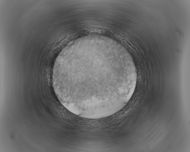 X0000112020916200909141033