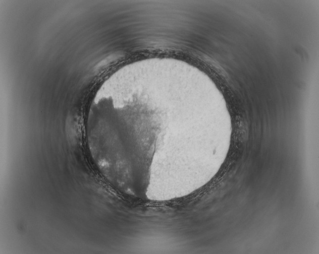 X0000112020918200909141033