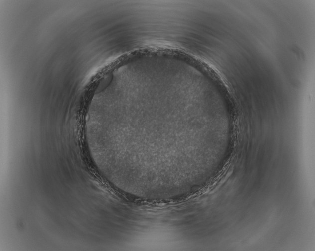 X0000112020919200909141033