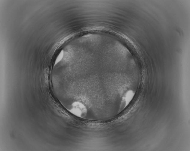 X0000112020921200909141033