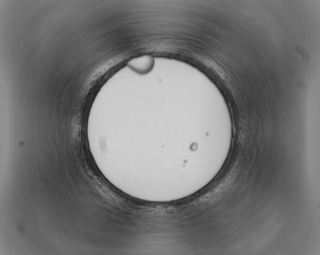 X0000112020922200909141033