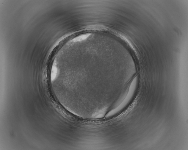 X0000112020923200909141033