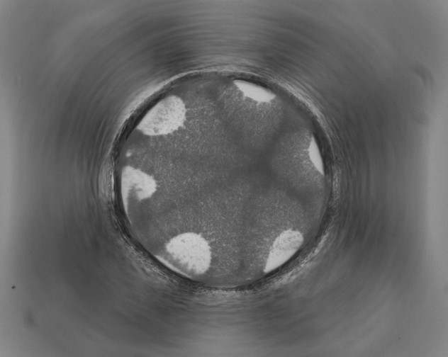 X0000112020925200909141033