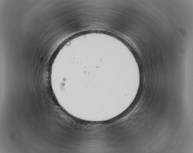 X0000112020926200909141033