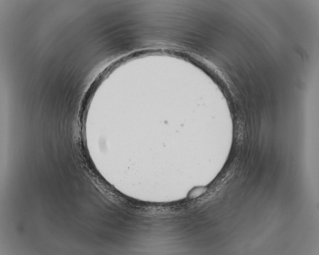 X0000112020927200909141033