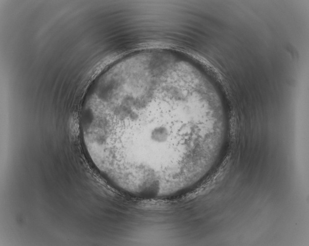 X0000112020929200909141033