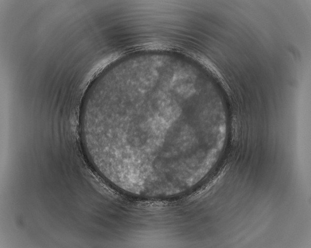 X0000112020930200909141033