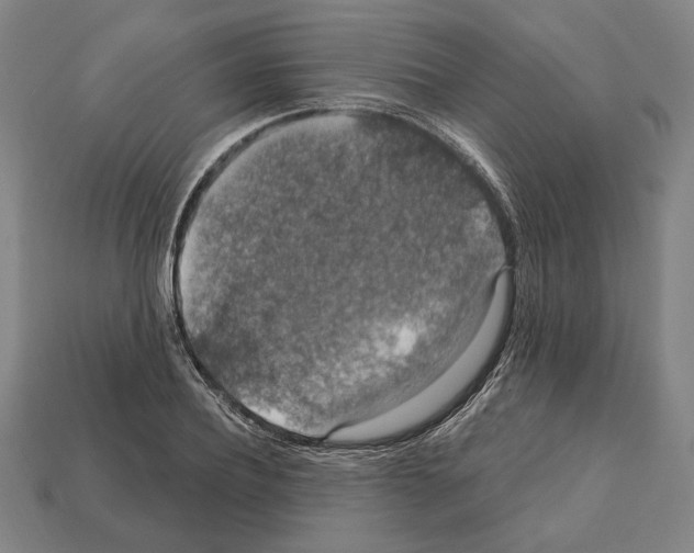 X0000112020932200909141033