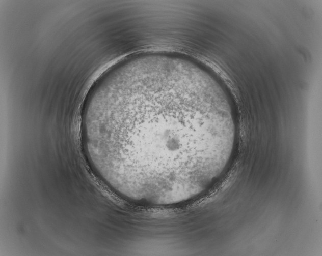 X0000112020933200909141033