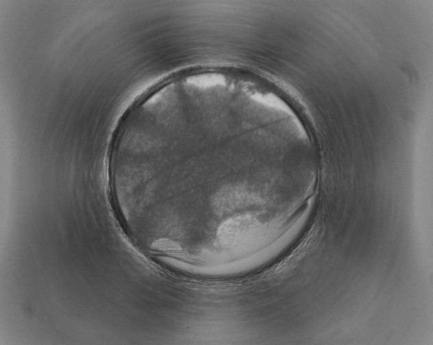 X0000112020935200909141033