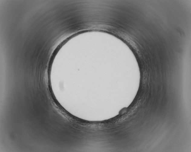 X0000112020936200909141033