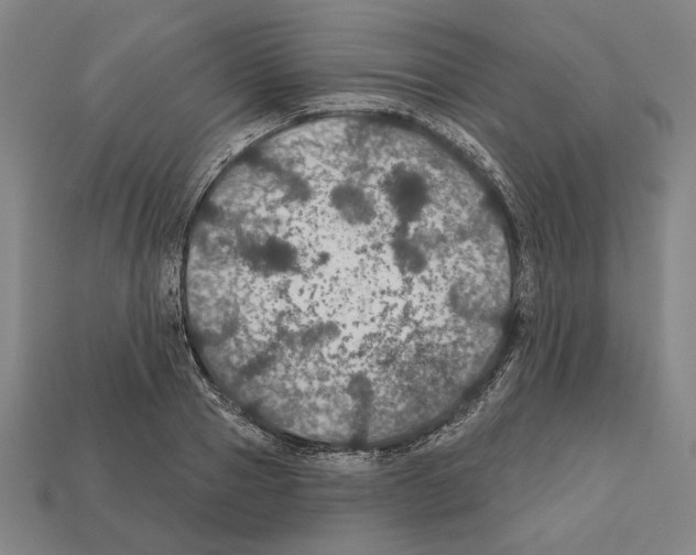 X0000112020937200909141033