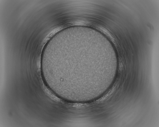 X0000112020938200909141033