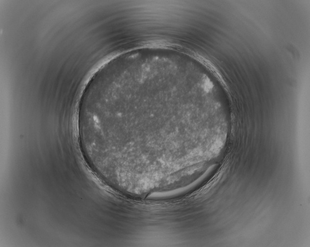 X0000112020939200909141033