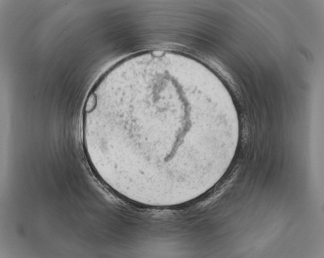 X0000112020940200909141033