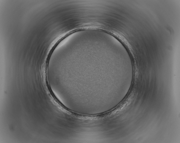 X0000112020941200909141033