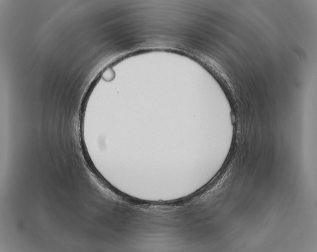 X0000112020942200909141033