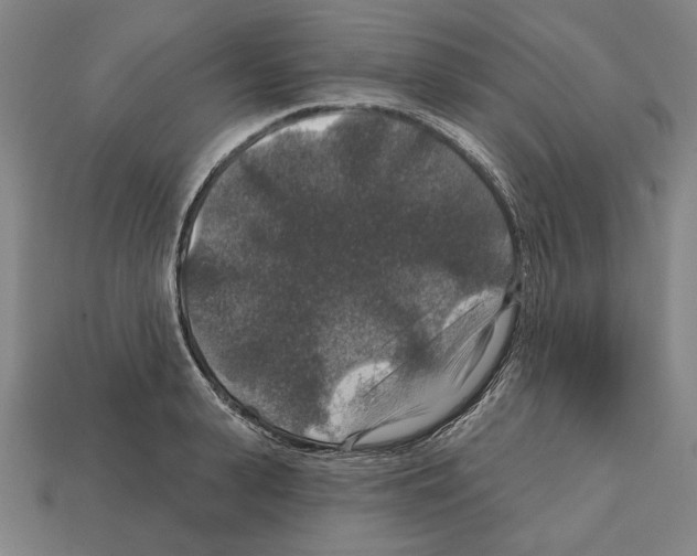 X0000112020943200909141033