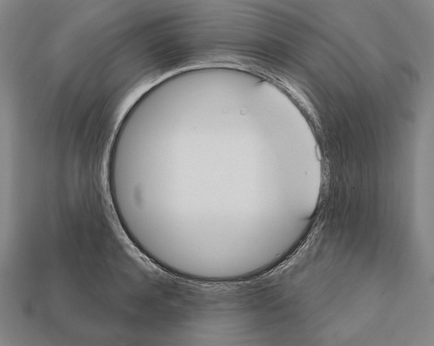 X0000112020944200909141033