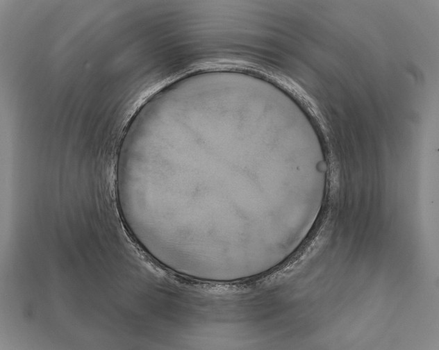 X0000112020945200909141033