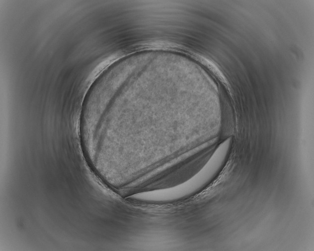 X0000112020946200909141033