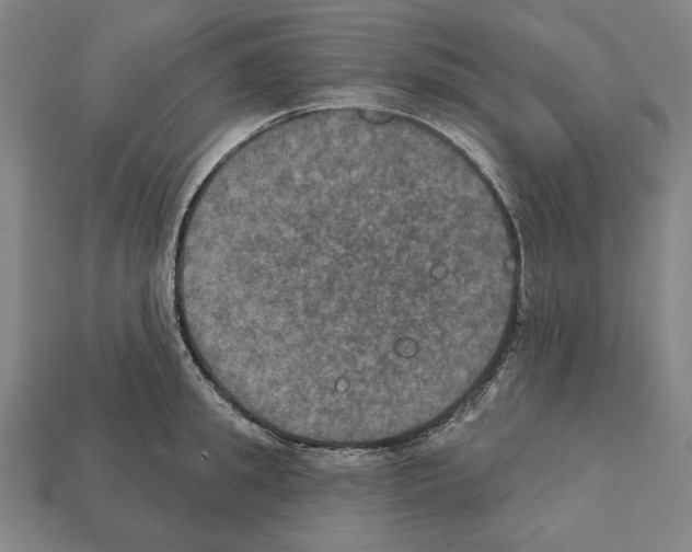 X0000112020949200909141033