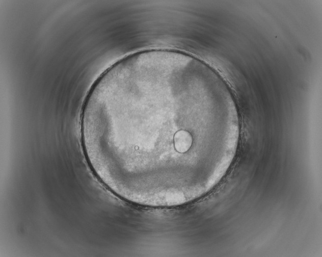 X0000112020950200909141033