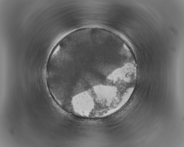 X0000112020951200909141033