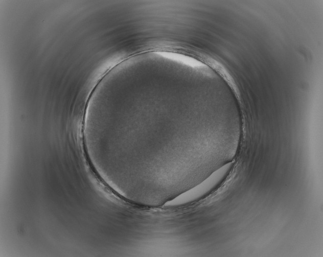 X0000112020954200909141033