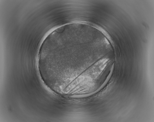 X0000112020955200909141033