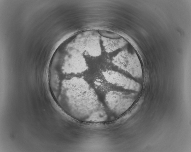 X0000112020957200909141033