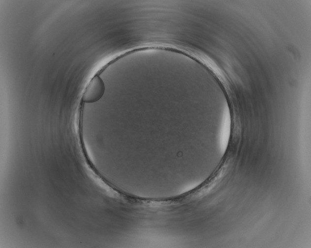 X0000112020958200909141033