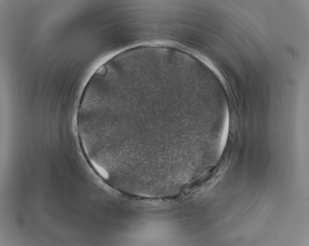 X0000112020959200909141033