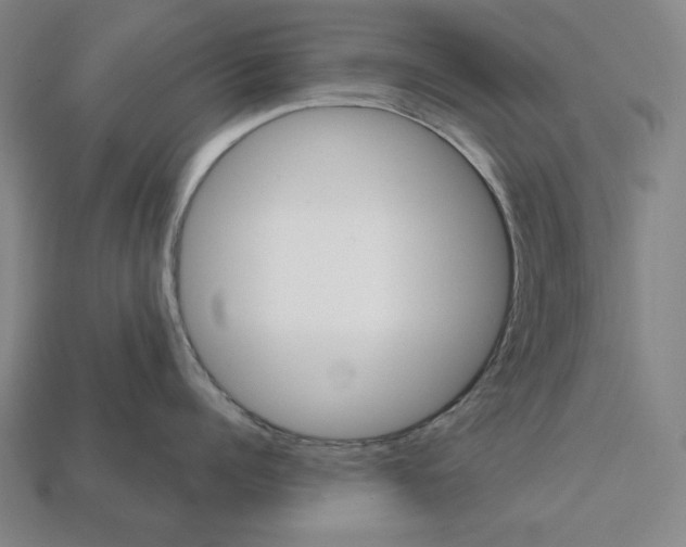 X0000112020960200909141033