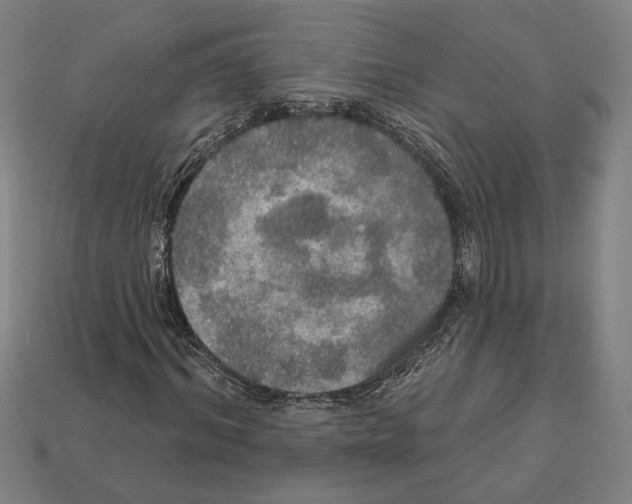 X0000112020964200909141032